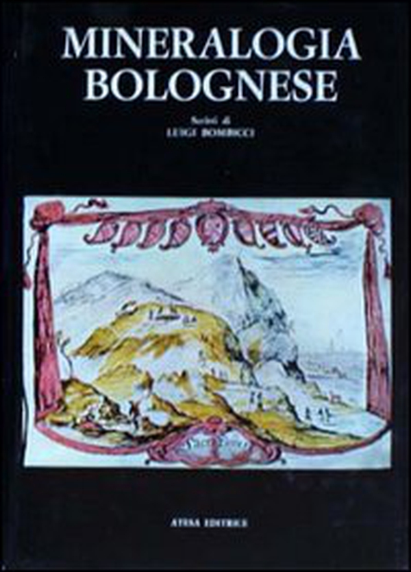 Storia della città di Como (rist. anast. Firenze, 1856) - Librerie.coop