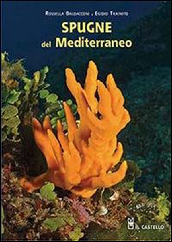 Spugne del Mediterraneo - Librerie.coop Spugne del Mediterraneo - Librerie.coop