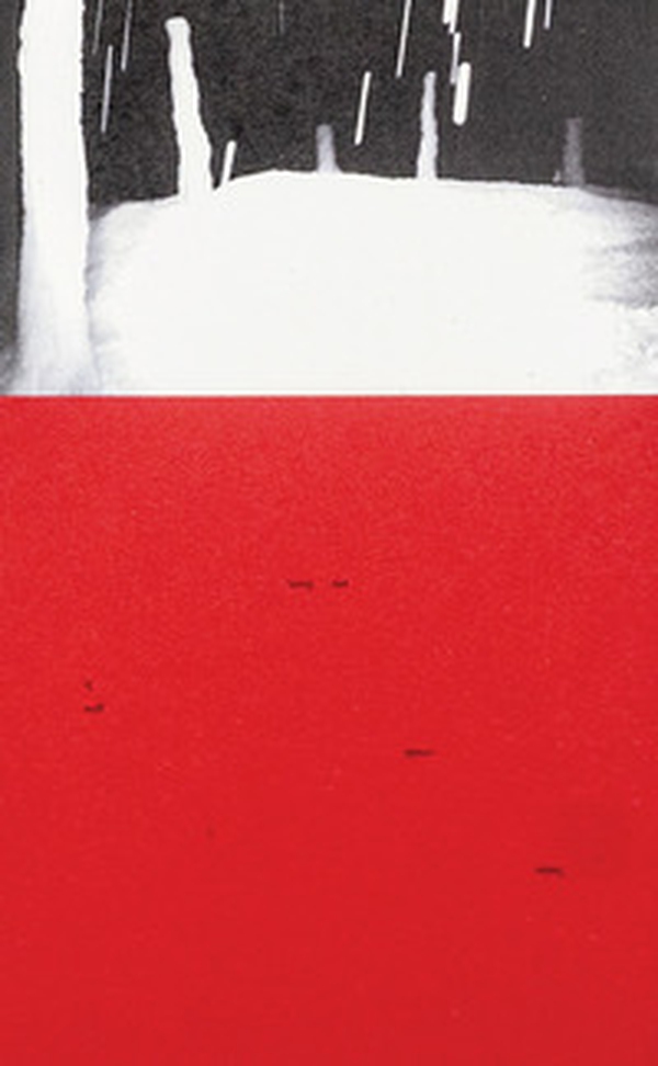 Ciucciuí - Librerie.coop