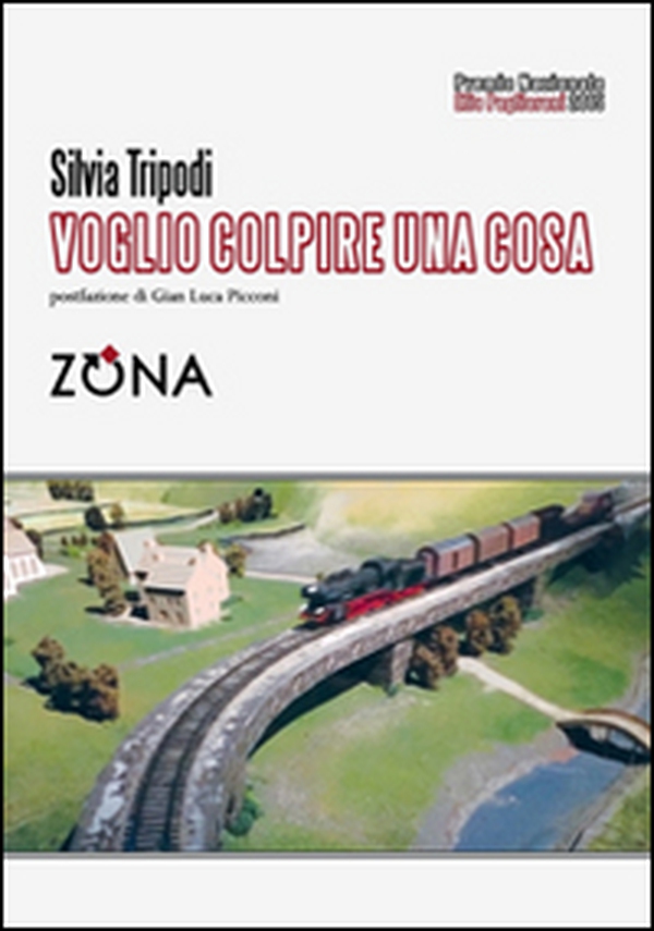Voglio colpire una cosa. Premio Pagliariani 2015 - Librerie.coop