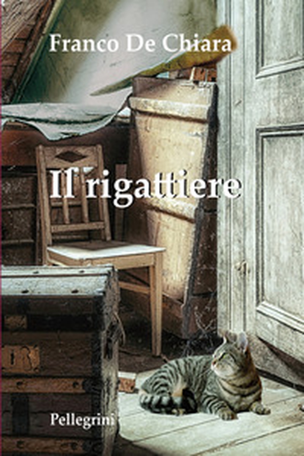 Il rigattiere - Librerie.coop Il rigattiere - Librerie.coop