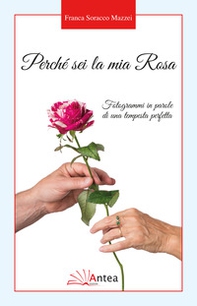 Perché sei la mia Rosa. Fotogrammi in parole di una tempesta perfetta - Librerie.coop