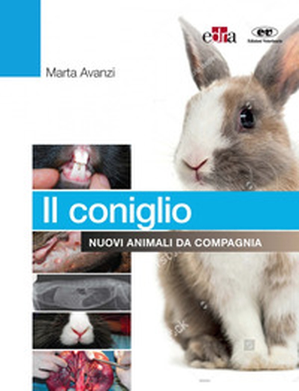Il coniglio. Nuovi animali da compagnia - Librerie.coop Il coniglio. Nuovi animali da compagnia - Librerie.coop
