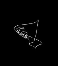 Thiago rocha pitta - Librerie.coop