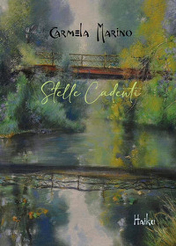 Stelle cadenti - Librerie.coop