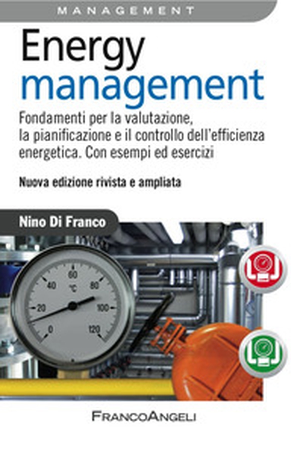 Energy management. Fondamenti per la valutazione, la pianificazione e il controllo dell'efficienza energetica. Con esempi ed esercizi - Librerie.coop