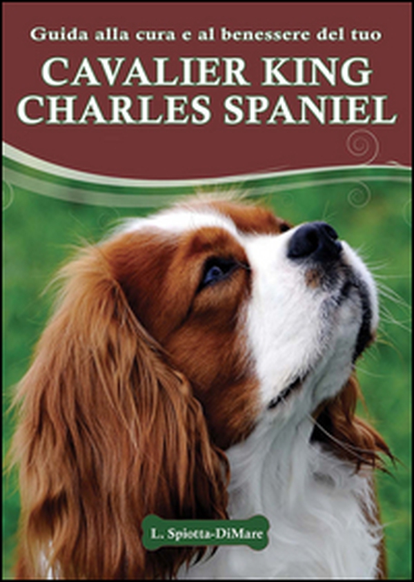 Guida alla cura e al benessere del tuo Cavalier King Charles Spaniel - Librerie.coop Guida alla cura e al benessere del tuo Cavalier King Charles Spaniel - Librerie.coop