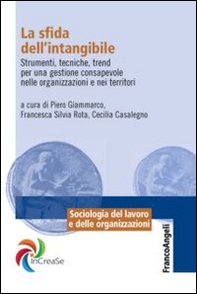 La sfida dell'intangibile. Strumenti, tecniche, trend per una gestione consapevole nelle organizzazioni e nei territori - Librerie.coop
