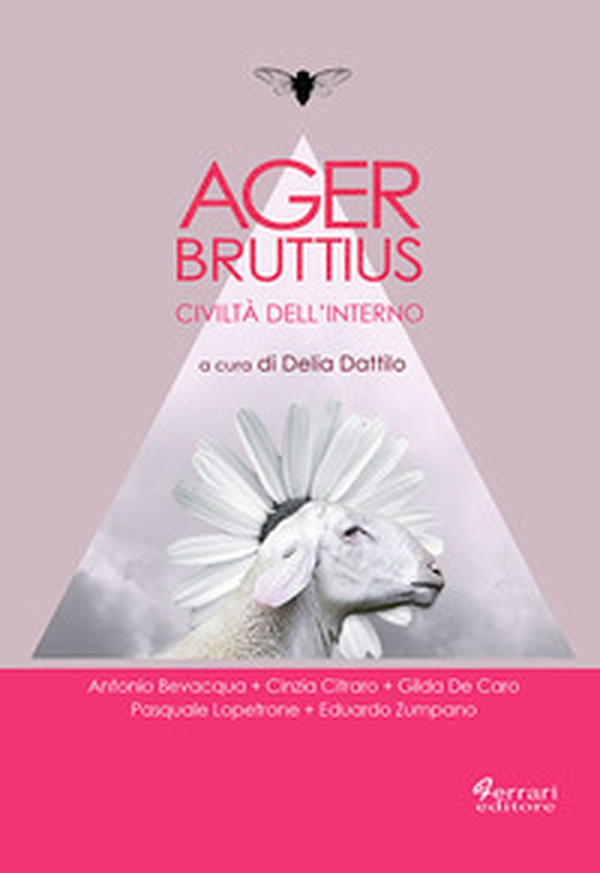 Ager Bruttius. Civiltà dell'interno - Librerie.coop Ager Bruttius. Civiltà dell'interno - Librerie.coop