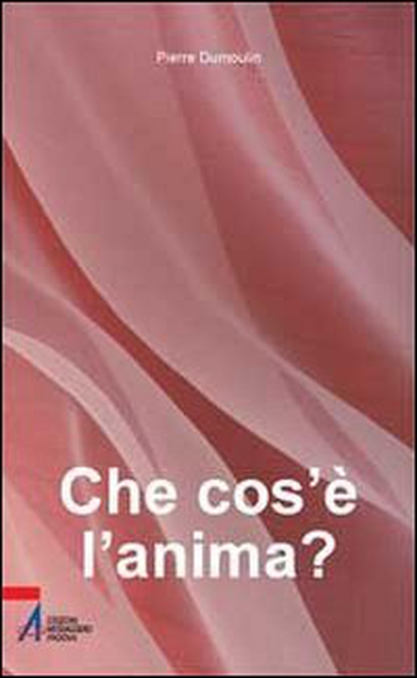 Che cos'è l'anima? - Librerie.coop Che cos'è l'anima? - Librerie.coop