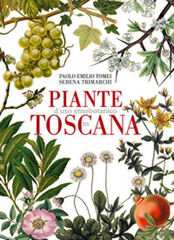 Piante d'uso etnobotanico in Toscana - Librerie.coop Piante d'uso etnobotanico in Toscana - Librerie.coop