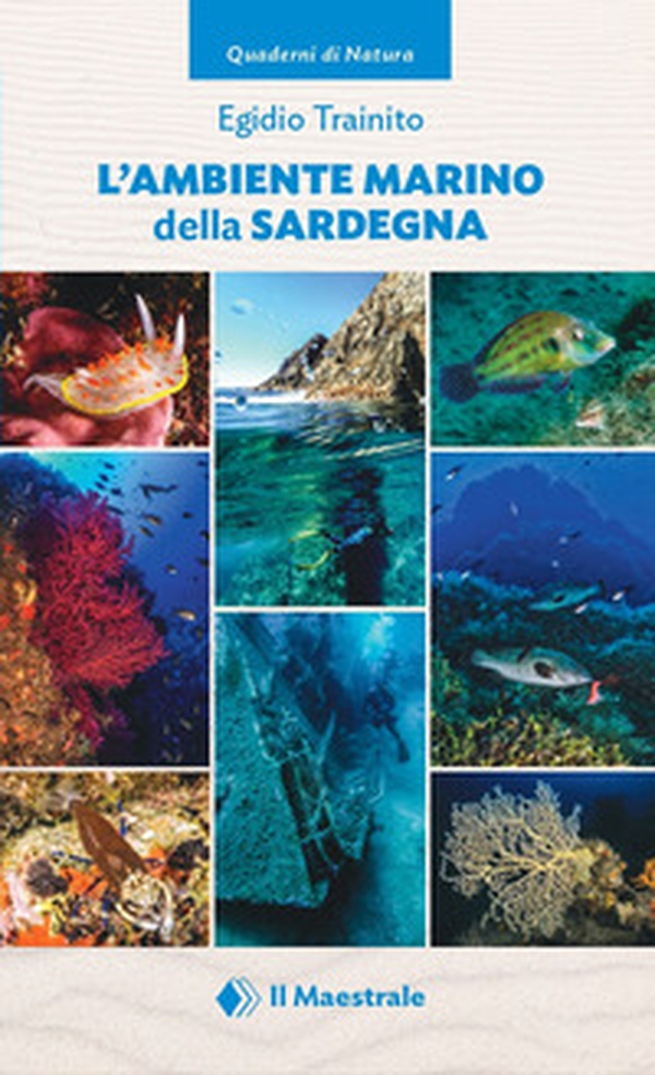 L'ambiente marino della Sardegna - Librerie.coop