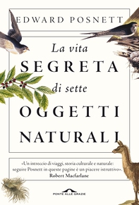 La vita segreta di sette oggetti naturali - Librerie.coop La vita segreta di sette oggetti naturali - Librerie.coop
