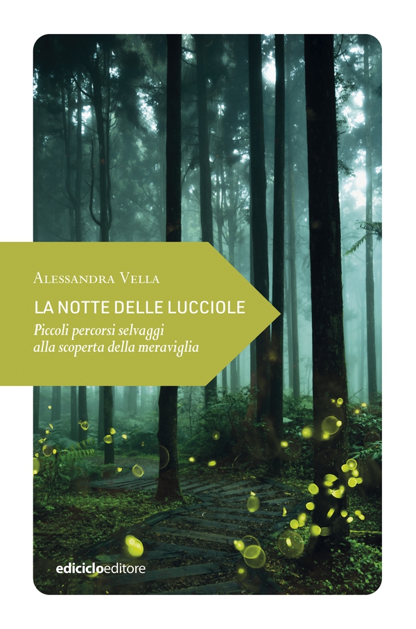 La notte delle lucciole - Librerie.coop La notte delle lucciole - Librerie.coop