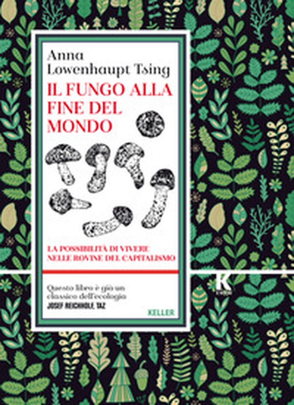 Il fungo alla fine del mondo. La possibilità di vivere nelle rovine del capitalismo - Librerie.coop Il fungo alla fine del mondo. La possibilità di vivere nelle rovine del capitalismo - Librerie.coop