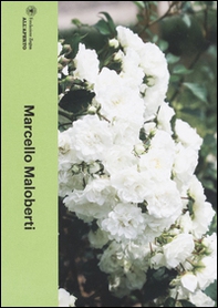 Marcello Maloberti. Ediz. italiana e inglese - Librerie.coop