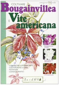 Coltivare bouganvillea e vite americana - Librerie.coop Coltivare bouganvillea e vite americana - Librerie.coop