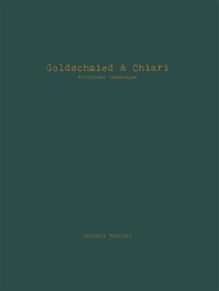Goldschmied & Chiari. Artificial landscapes. Ediz. italiana e inglese - Librerie.coop