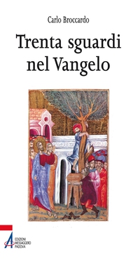 Trenta sguardi nel vangelo - Librerie.coop