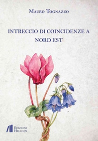 Intreccio di coincidenze a nord est - Librerie.coop