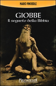 Giobbe. Il segreto della Bibbia - Librerie.coop