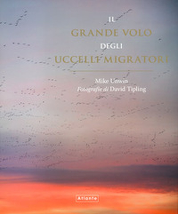 Il grande volo degli uccelli migratori - Librerie.coop Il grande volo degli uccelli migratori - Librerie.coop