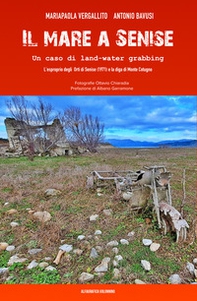 Il mare a Senise. Un caso di land-water grabbing. L'esproprio degli orti di Senise (1971) e la diga di Monte Cotugno - Librerie.coop
