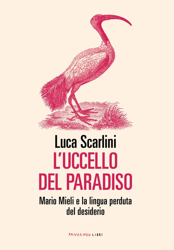 L'uccello del paradiso - Librerie.coop