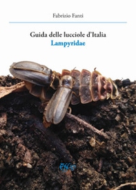 Guida delle lucciole d'Italia lampyridae - Librerie.coop