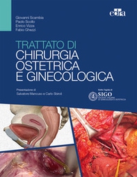 Trattato di chirurgia ostetrica e ginecologica - Librerie.coop