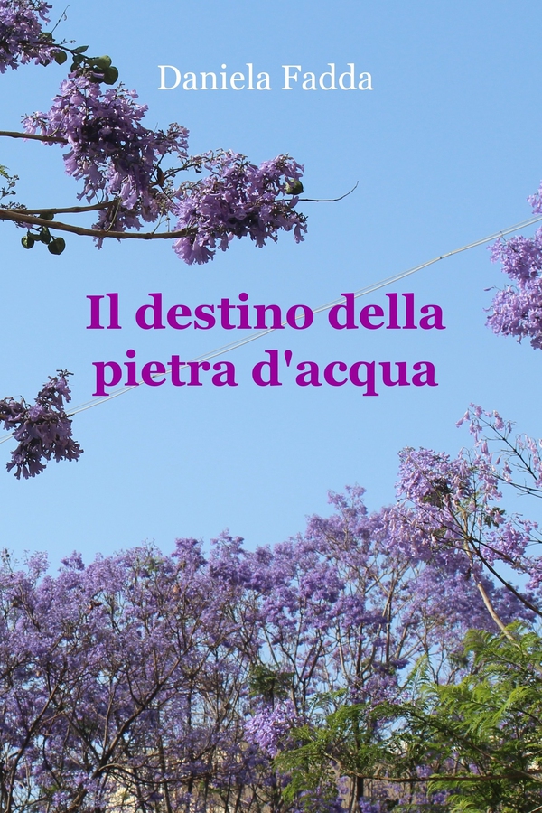 Il destino della pietra d'acqua - Librerie.coop Il destino della pietra d'acqua - Librerie.coop