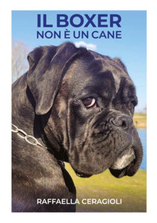 Il boxer non è un cane - Librerie.coop Il boxer non è un cane - Librerie.coop