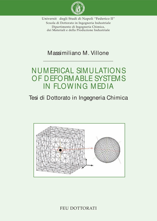 Numerical simulations of deformable systems in flowing media - Librerie.coop Numerical simulations of deformable systems in flowing media - Librerie.coop