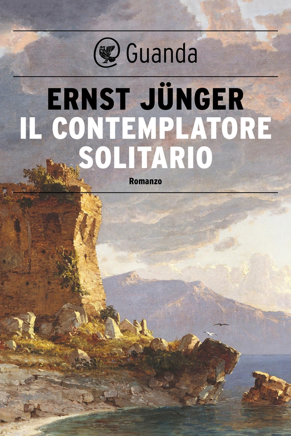 Il contemplatore solitario - Librerie.coop Il contemplatore solitario - Librerie.coop