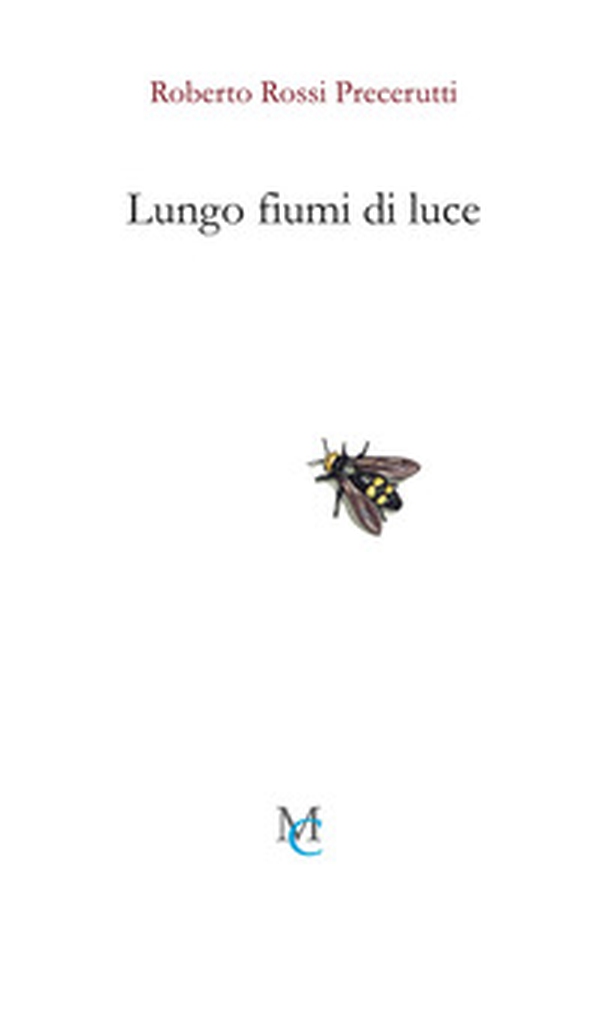 Lungo fiumi di luce - Librerie.coop Lungo fiumi di luce - Librerie.coop