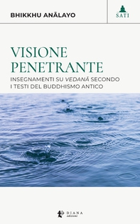 Visione penetrante - Librerie.coop