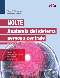 Nolte - Anatomia del sistema nervoso centrale - Librerie.coop Nolte - Anatomia del sistema nervoso centrale - Librerie.coop