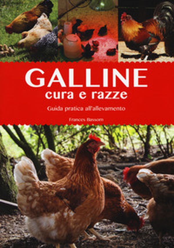 Galline. Cura e razze. Guida pratica all'allevamento - Librerie.coop Galline. Cura e razze. Guida pratica all'allevamento - Librerie.coop