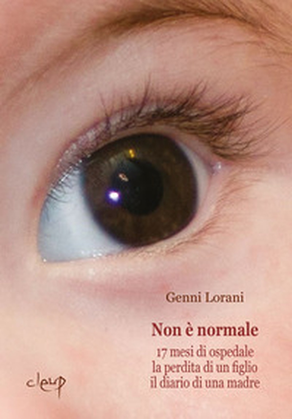 Non è normale. 17 mesi di ospedale, la perdita di un figlio, il diario di una madre - Librerie.coop Non è normale. 17 mesi di ospedale, la perdita di un figlio, il diario di una madre - Librerie.coop