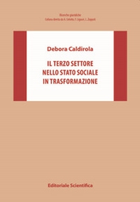 Il Terzo settore nello Stato sociale in trasformazione - Librerie.coop