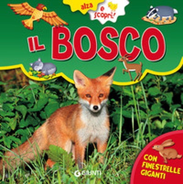 Il bosco - Librerie.coop Il bosco - Librerie.coop