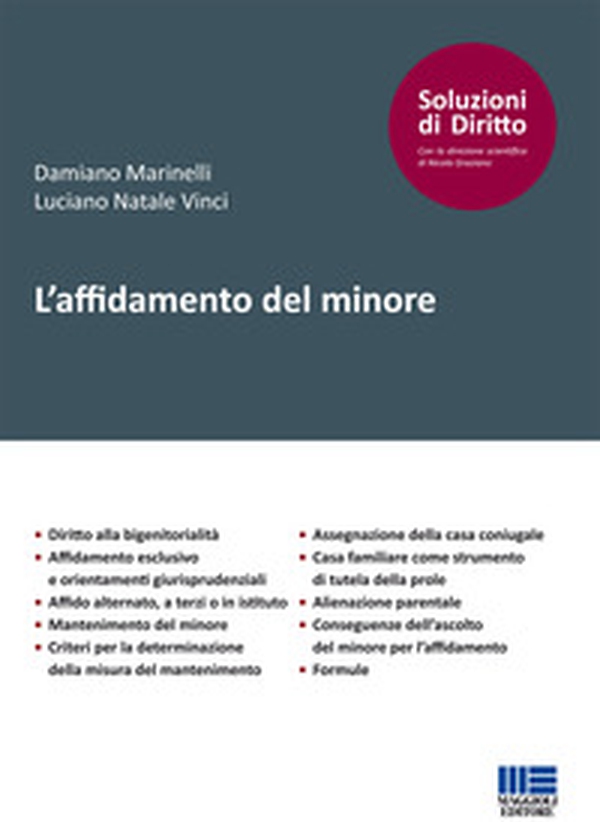 L'affidamento del minore - Librerie.coop L'affidamento del minore - Librerie.coop