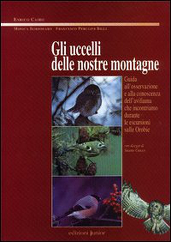 Gli uccelli delle nostre montagne. Guida all'osservazione e alla conoscenza dell'avifauna che incontriamo durante le escursioni sulle Orobie - Librerie.coop Gli uccelli delle nostre montagne. Guida all'osservazione e alla conoscenza dell'avifauna che incontriamo durante le escursioni sulle Orobie - Librerie.coop