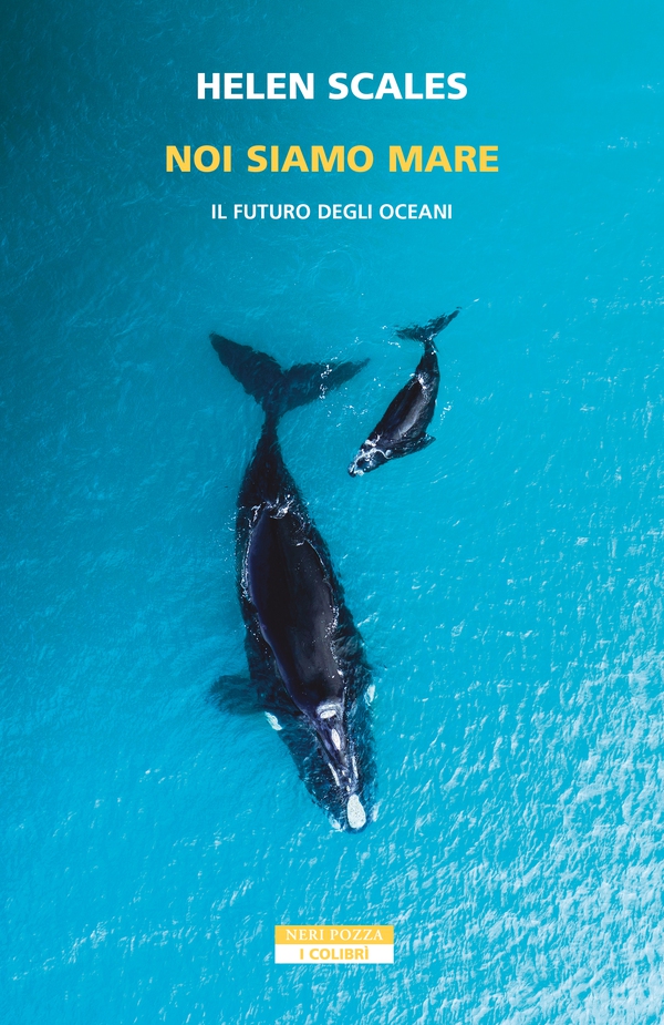 Noi siamo mare - Librerie.coop