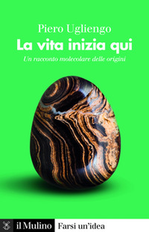 La vita inizia qui. Un racconto molecolare delle origini - Librerie.coop