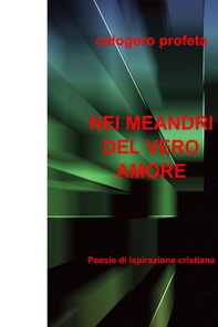 NEI MEANDRI DEL VERO AMORE - Librerie.coop