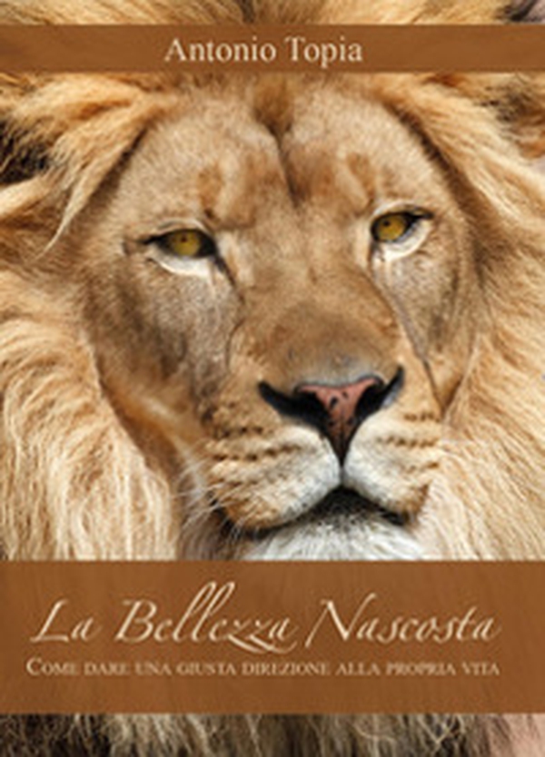 La bellezza nascosta. Come dare una giusta direzione alla propria vita - Librerie.coop La bellezza nascosta. Come dare una giusta direzione alla propria vita - Librerie.coop