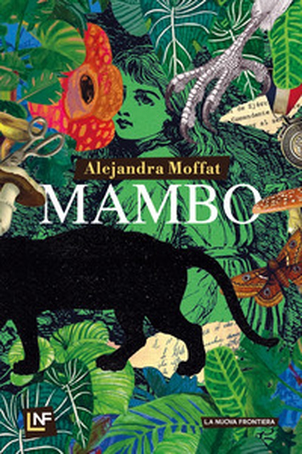 Mambo - Librerie.coop Mambo - Librerie.coop