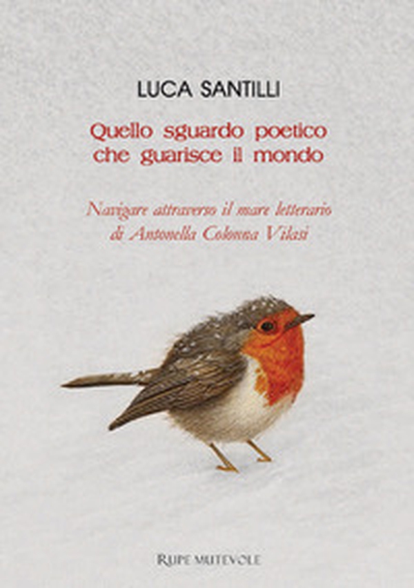 Quello sguardo poetico che guarisce il mondo. Navigare attraverso il mare letterario di Antonella Colonna Vilasi - Librerie.coop