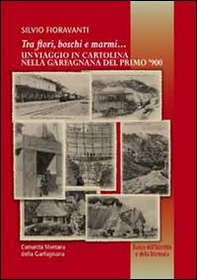 Tra i fiori boschi e marmi. Un viaggio in cartolina nella Garfagnana del primo '900 - Librerie.coop